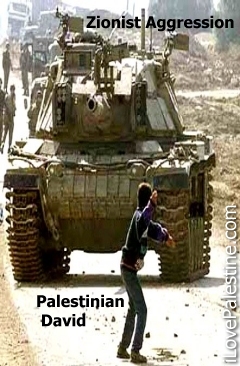 A Palestinian Kid facing the facist zionist war machine